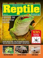 Practical Reptile Keeping